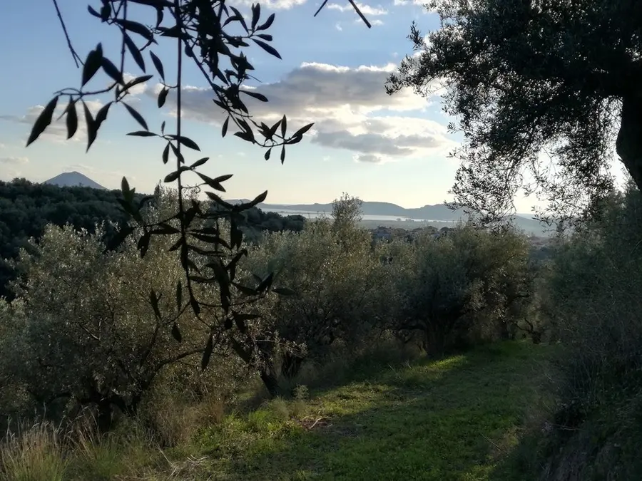 Grecia · Peloponnes · Kreta