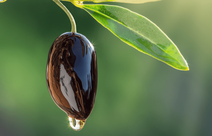 BIO-Olivenöl kaufen: So wirst du zum Profi